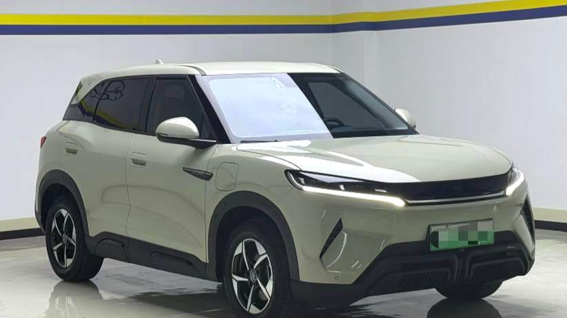 BYD 2024 YUAN UP 301KM Leading Type