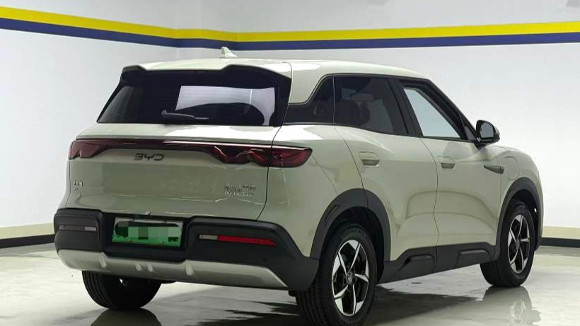 BYD 2024 YUAN UP 301KM Leading Type