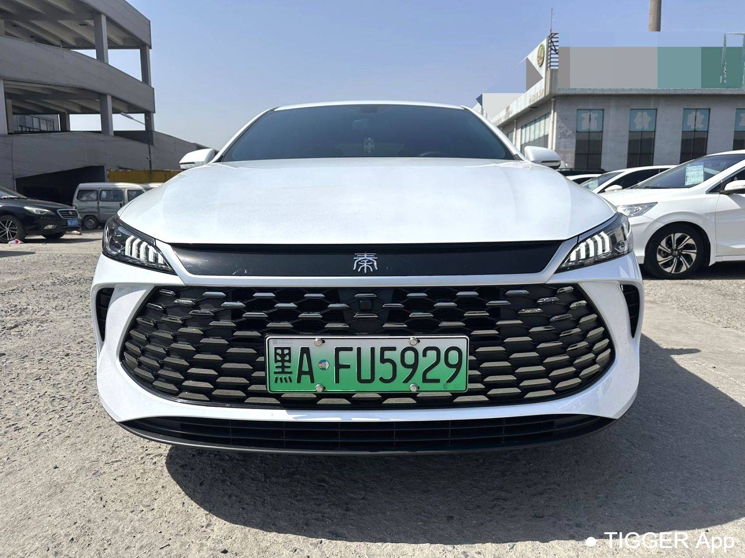 BYD 2025 Seal 05 DM-i DM-i Intelligent Driving Edition 55KM Luxury Edition