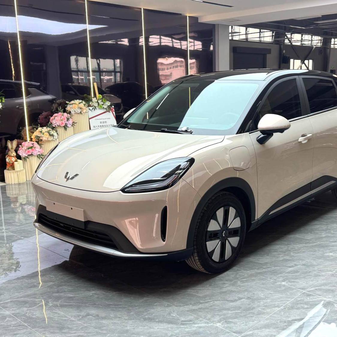 Wuling 2025 Bingo S 430km Premium Edition سيارة مستعملة