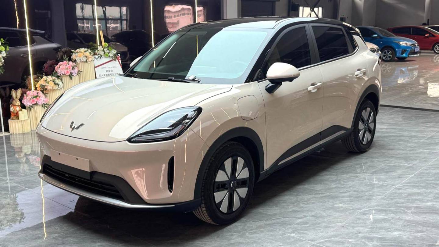 Wuling 2025 Bingo S 430km Premium Edition