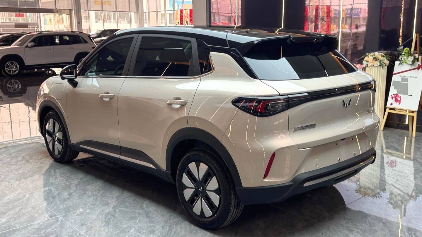 Wuling 2025 Bingo S 430km Premium Edition