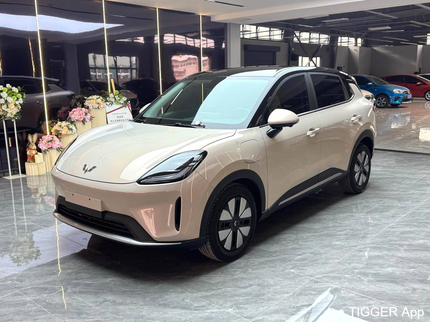 Wuling 2025 Bingo S 430km Premium Edition