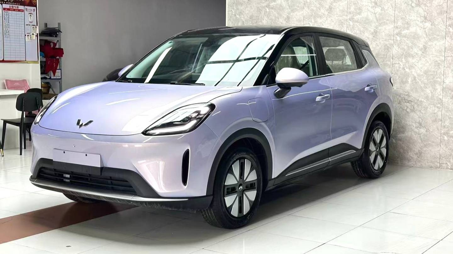 Wuling 2025 Bingo S 325km Premium Edition