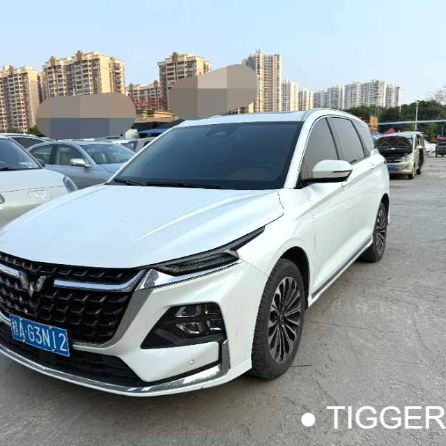 Wuling 2023 Victory 2.0L DHT Luxury Edition Used Car