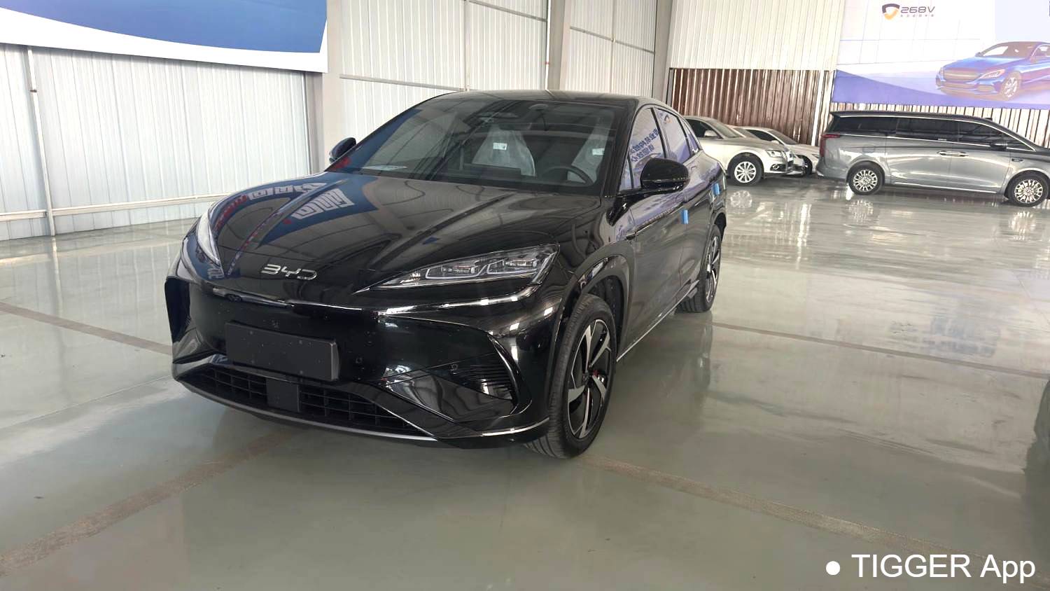 BYD 2025 Sea Lion 07 EV 610 Intelligent Navigation Edition