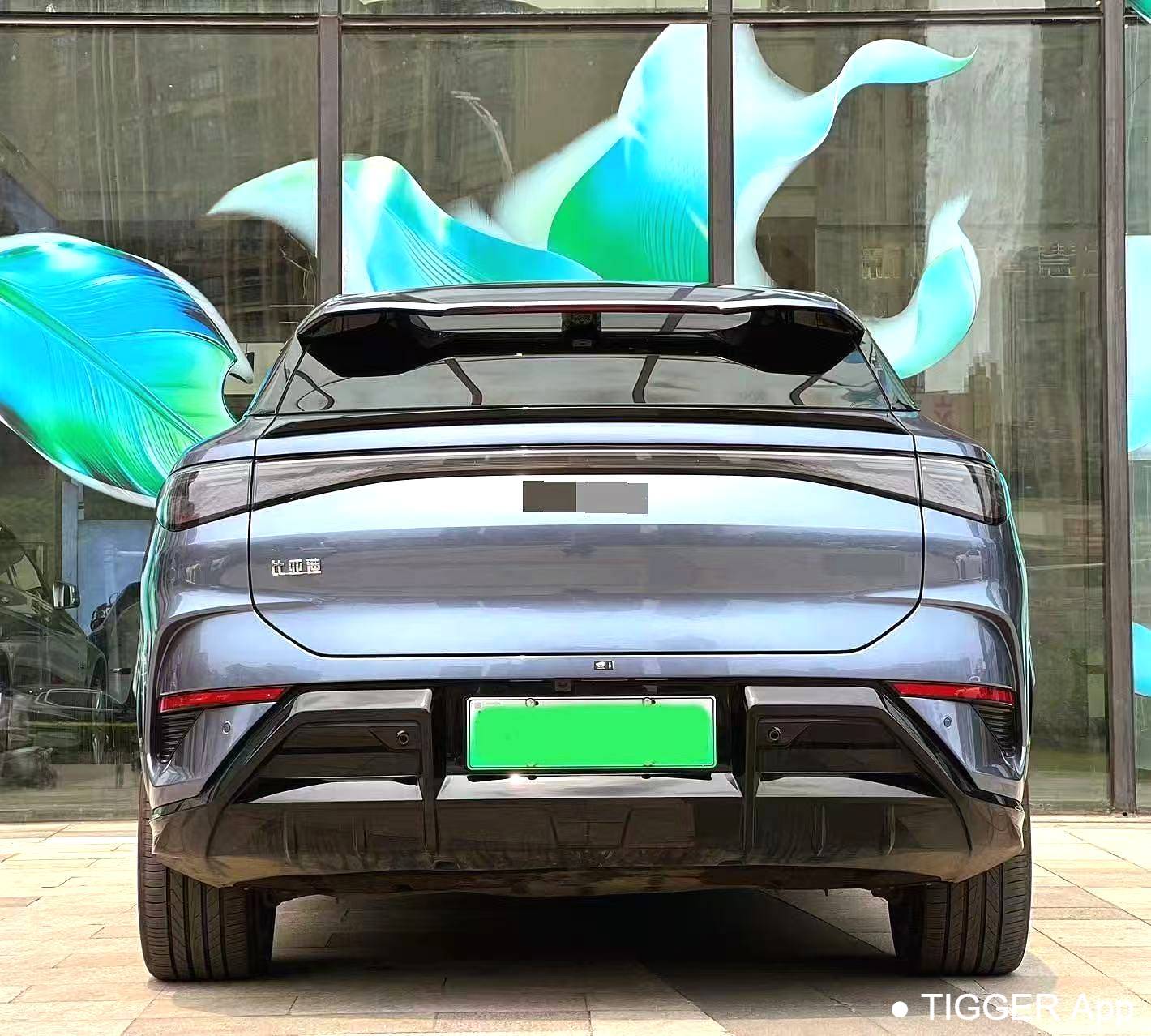 BYD 2025 Sea Lion 07 EV 610 Intelligent Driving Edition