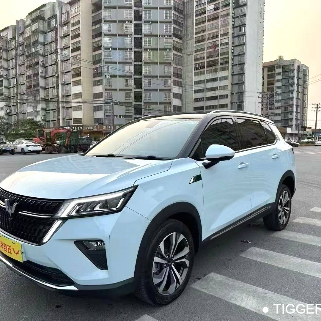 Wuling 2023 Victory 2.0L DHT Enjoyment Type Used Car