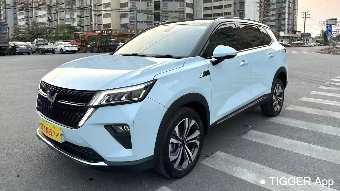 Wuling 2023 Victory 2.0L DHT Enjoyment Type