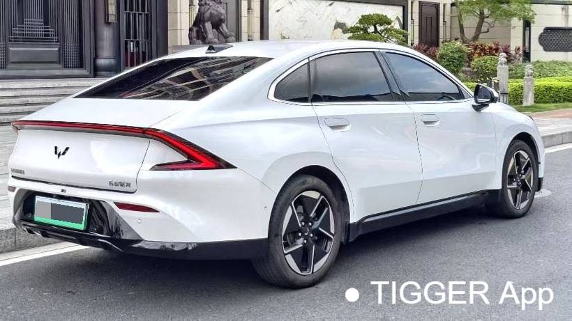 Wuling 2025 Xingguang 610km intelligent flagship model