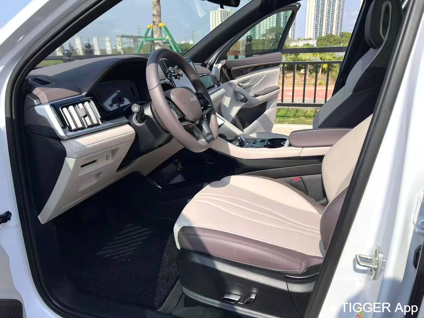 BYD 2025 Song Plus DM-i 112KM Prestige Model