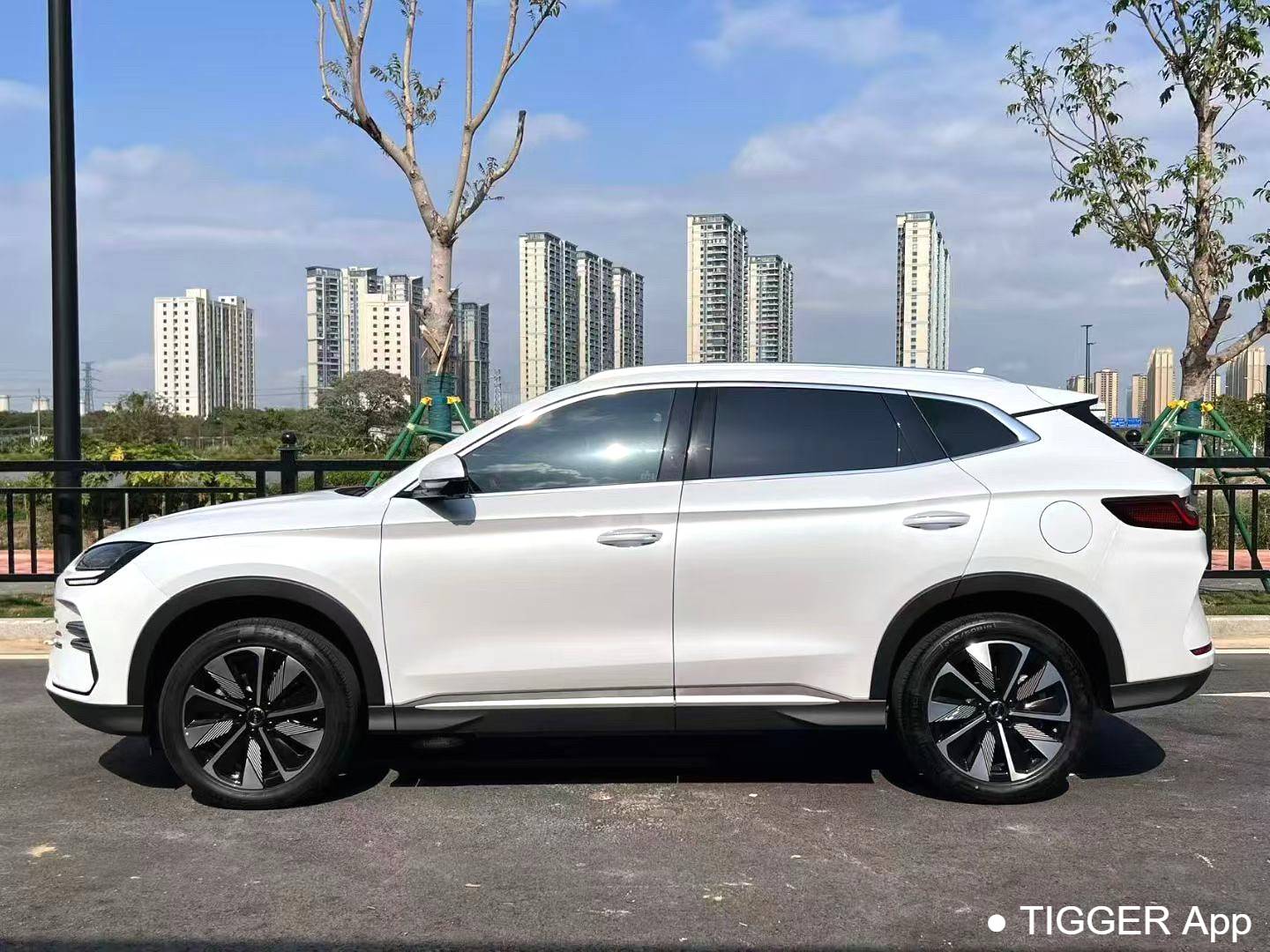BYD 2025 Song Plus DM-i 112KM Prestige Model