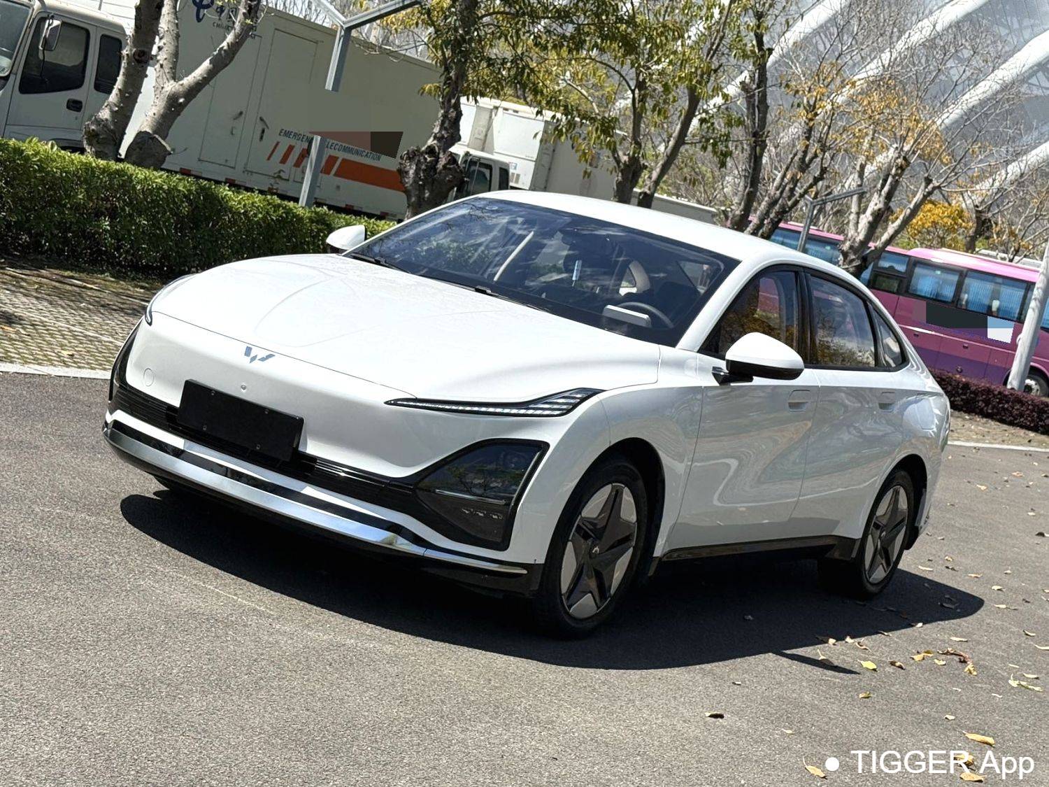 Wuling 2024 Xingguang Co Creation Version 410 Standard Model