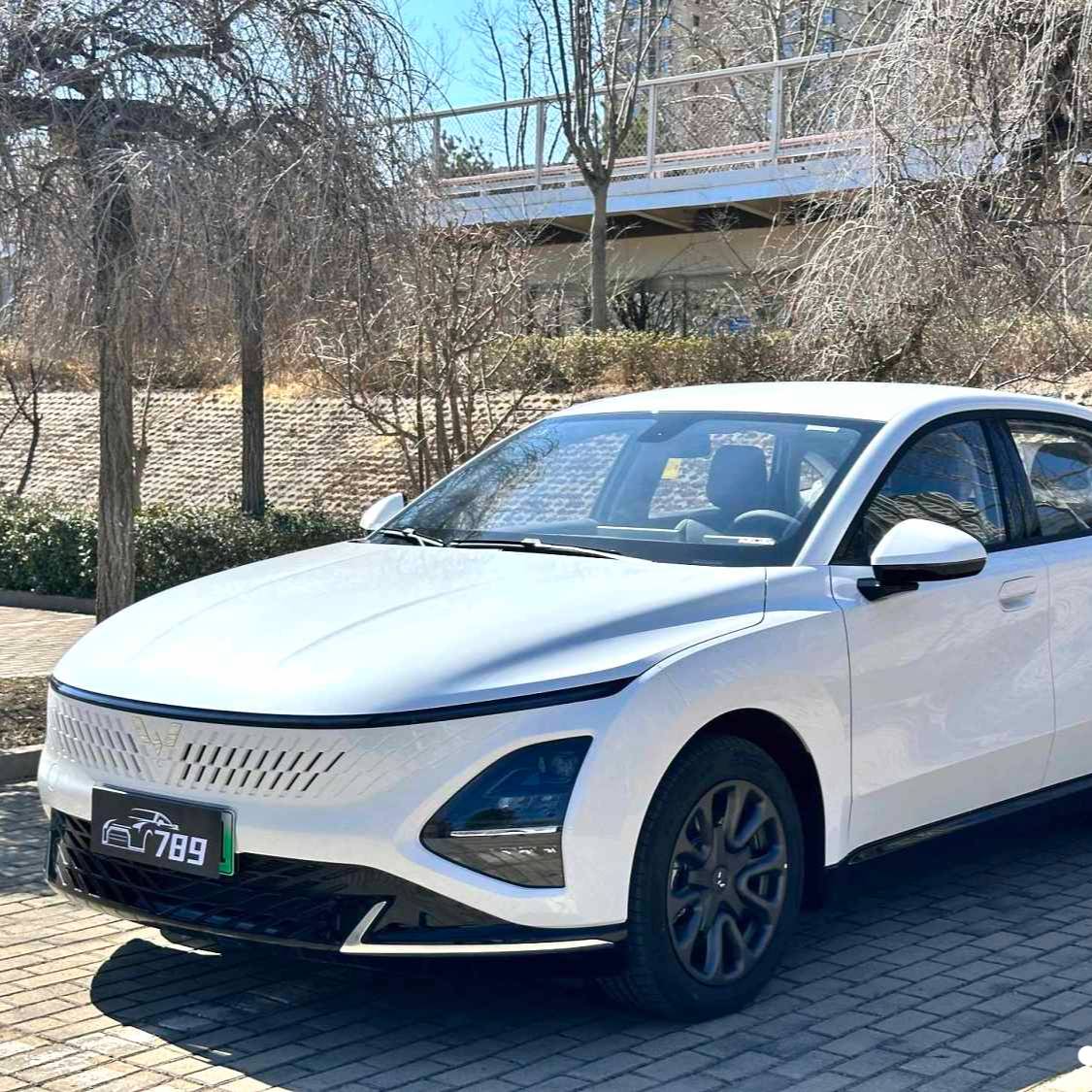 Wuling 2025 Xingguang 70km intelligent standard type Used Car