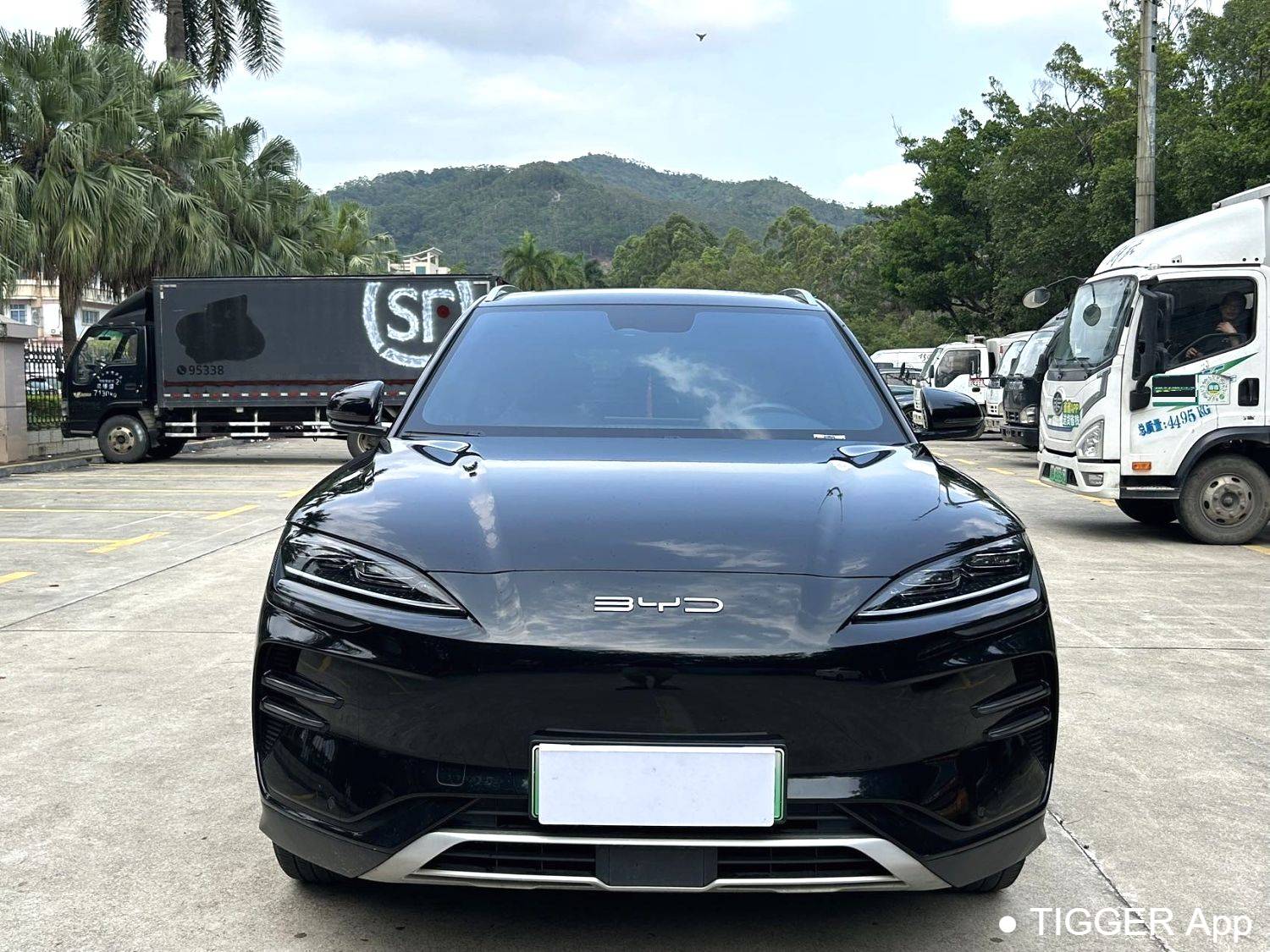 BYD 2024 Song Plus Honor Edition EV 520km Luxury Edition