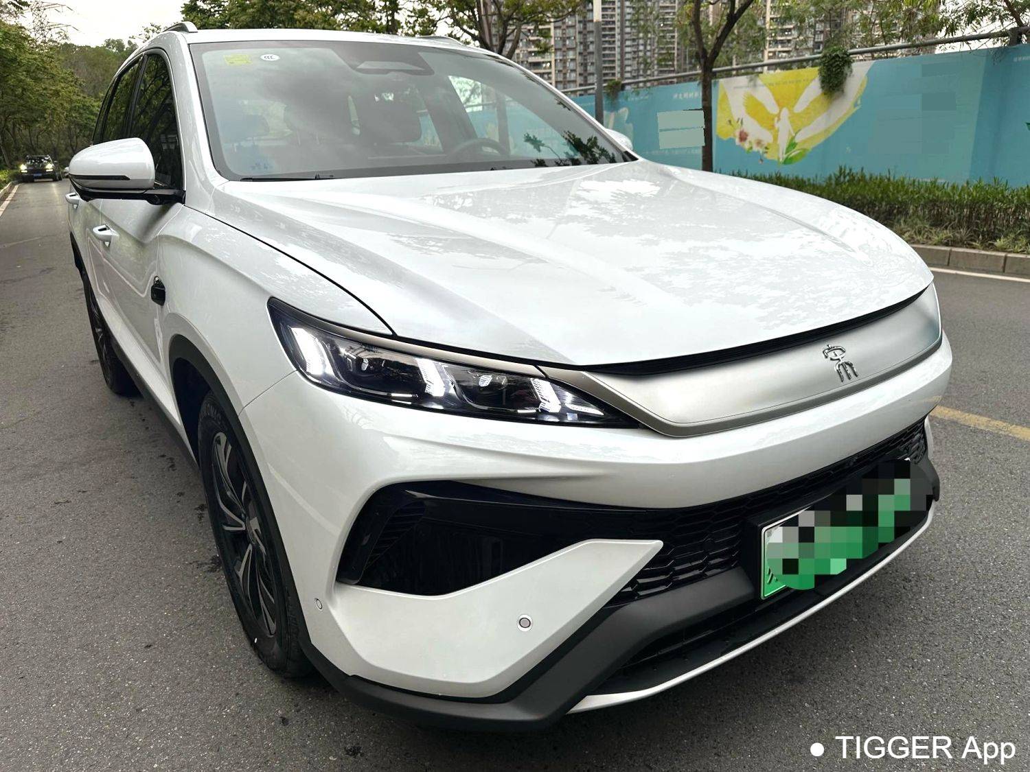 BYD 2025 SONG Pro the second generation ADAS‌ DM-i 115KM Superb Type