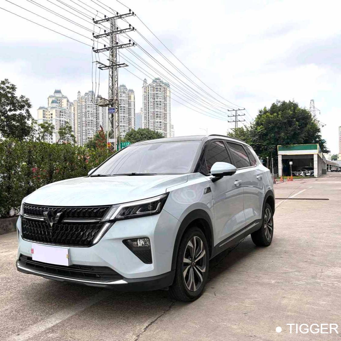 Wuling 2022 Asta 2.0L DHT Electric Speed Model Used Car