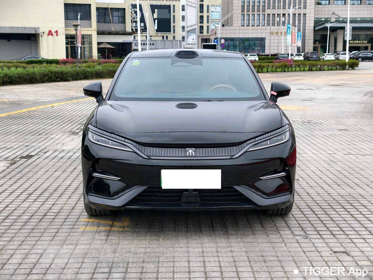 BYD 2025 SONG L EV 662km Excellent Intelligent Driving Model