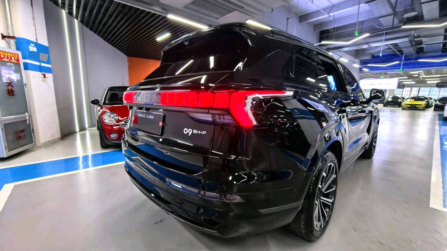 LYNK&CO 2024 09 EM-P 2.0TD EM-P four-wheel drive HALO six seater