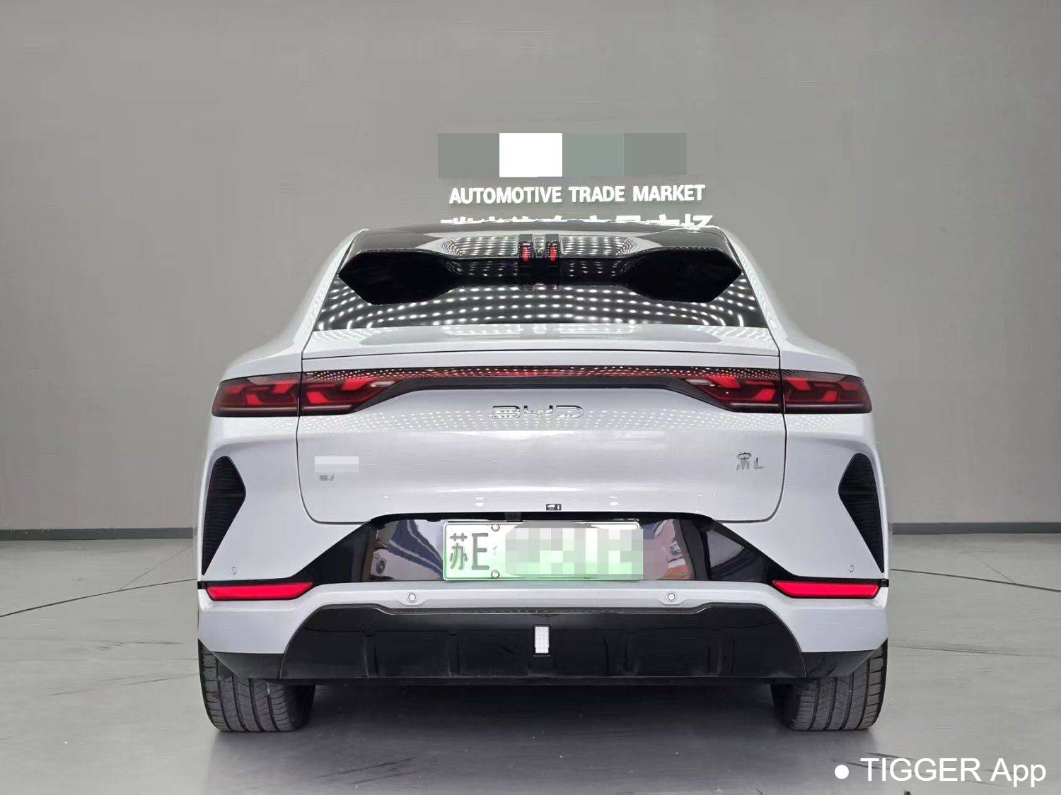 BYD 2024 SONG L EV 550km overtaking type