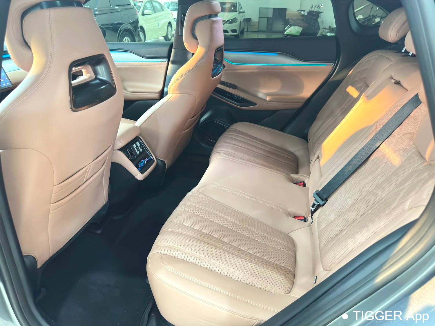 BYD 2025 SONG L EV Intelligent driving version 662km laser radar excellent model