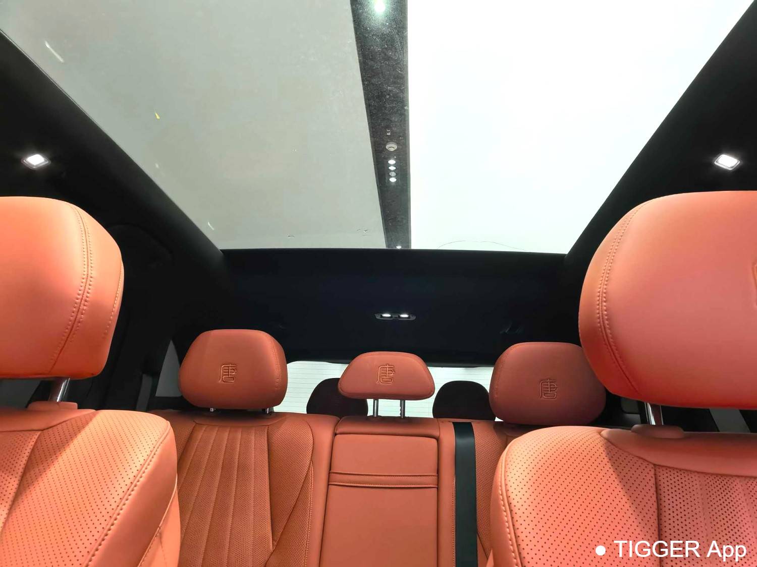 BYD 2025 TANG L EV 670KM Laser Radar Flagship Model