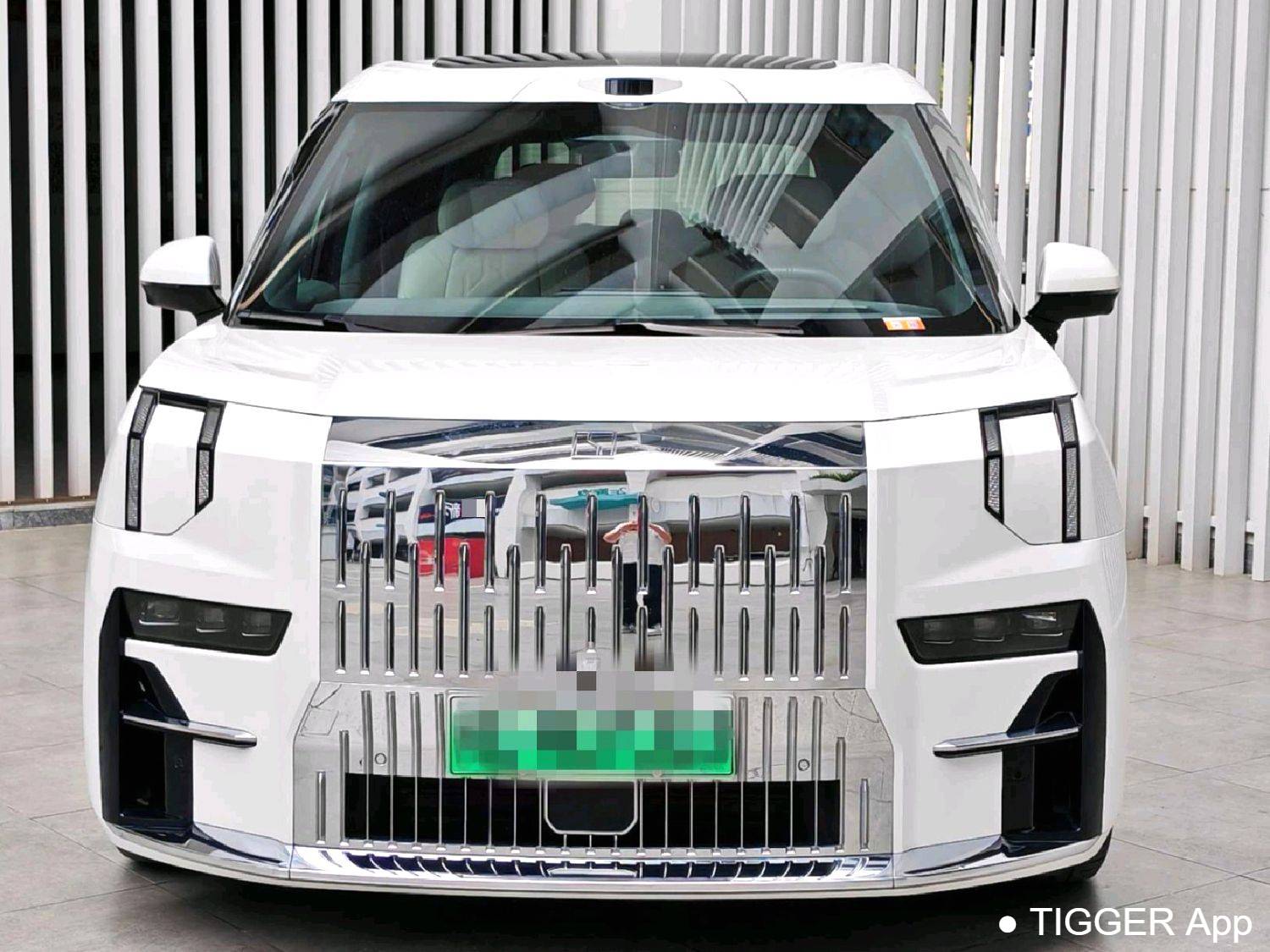 ZEEKR 2024 009 Seven seater aisle version four-wheel drive 108kWh