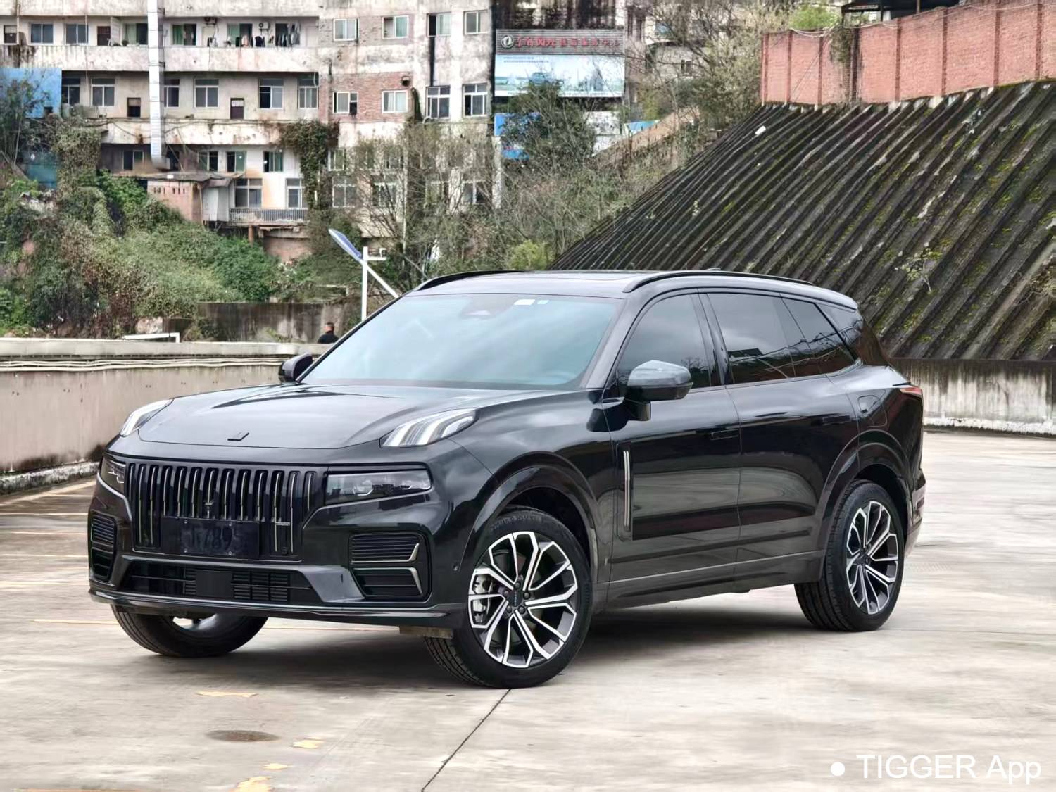 LYNK&CO 2024 09 EM-P 2.0TD EM-P four-wheel drive PRO seven seater