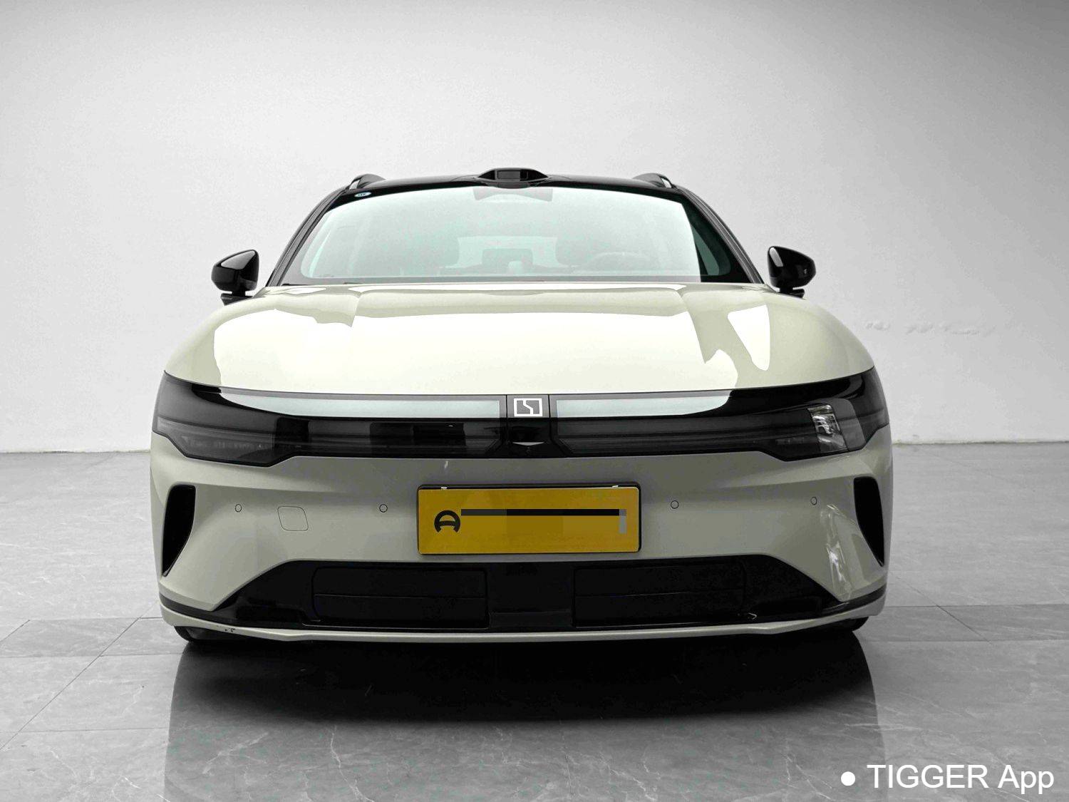 ZEEKR 2025 007GT Long range rear wheel drive intelligent driving version 100kWh