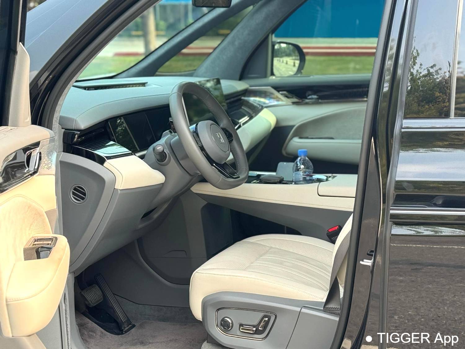 ZEEKR 2022 009 WE version