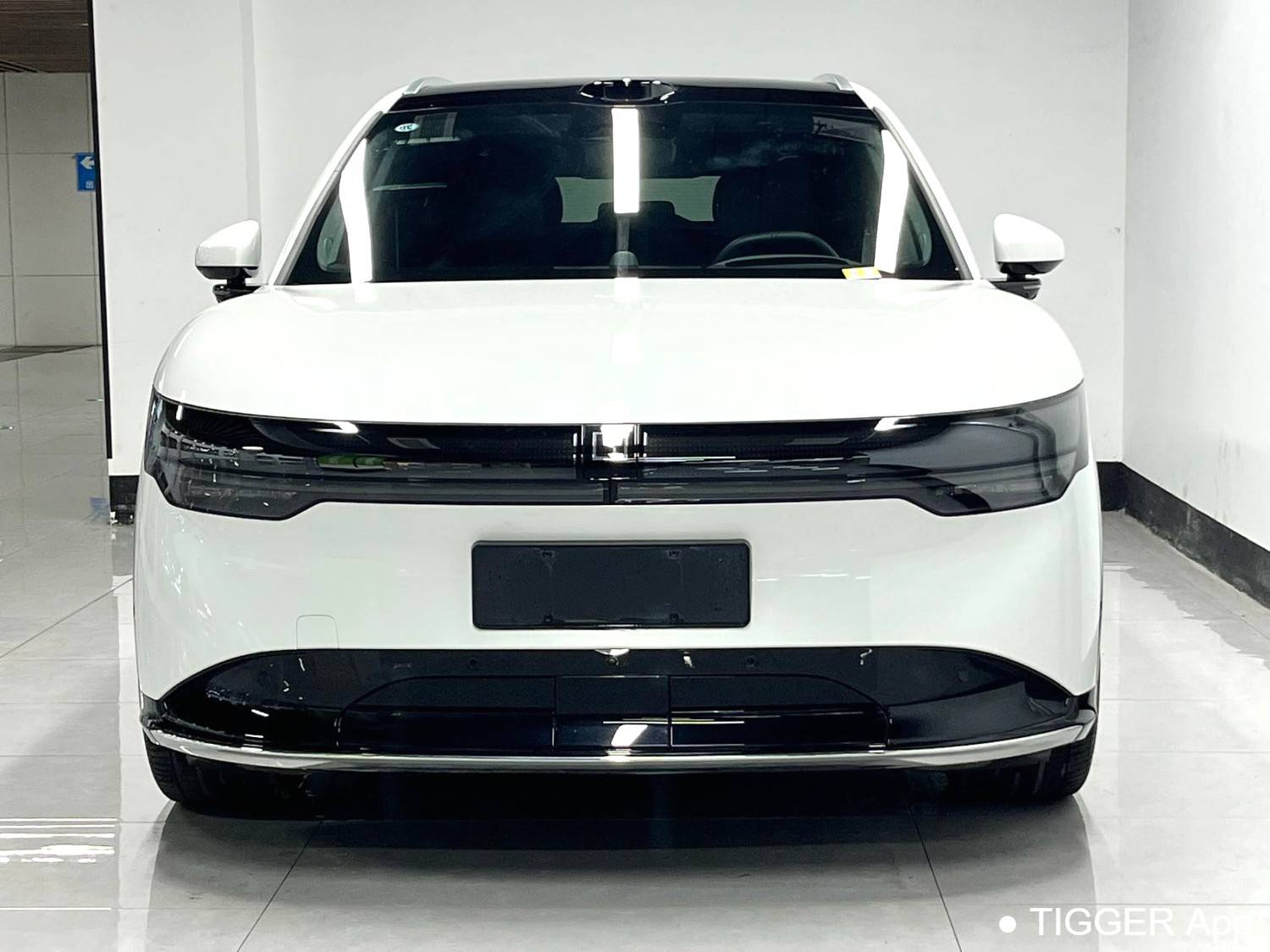 ZEEKR 2025 7X 100kWh Long Range 4WD Intelligent Driving Edition