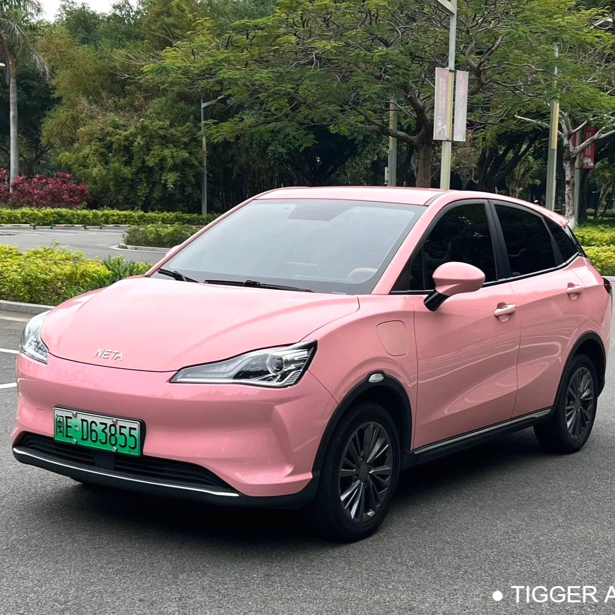 NETA 2022 V Trendy 400 Lite Pink Customized Edition سيارة مستعملة