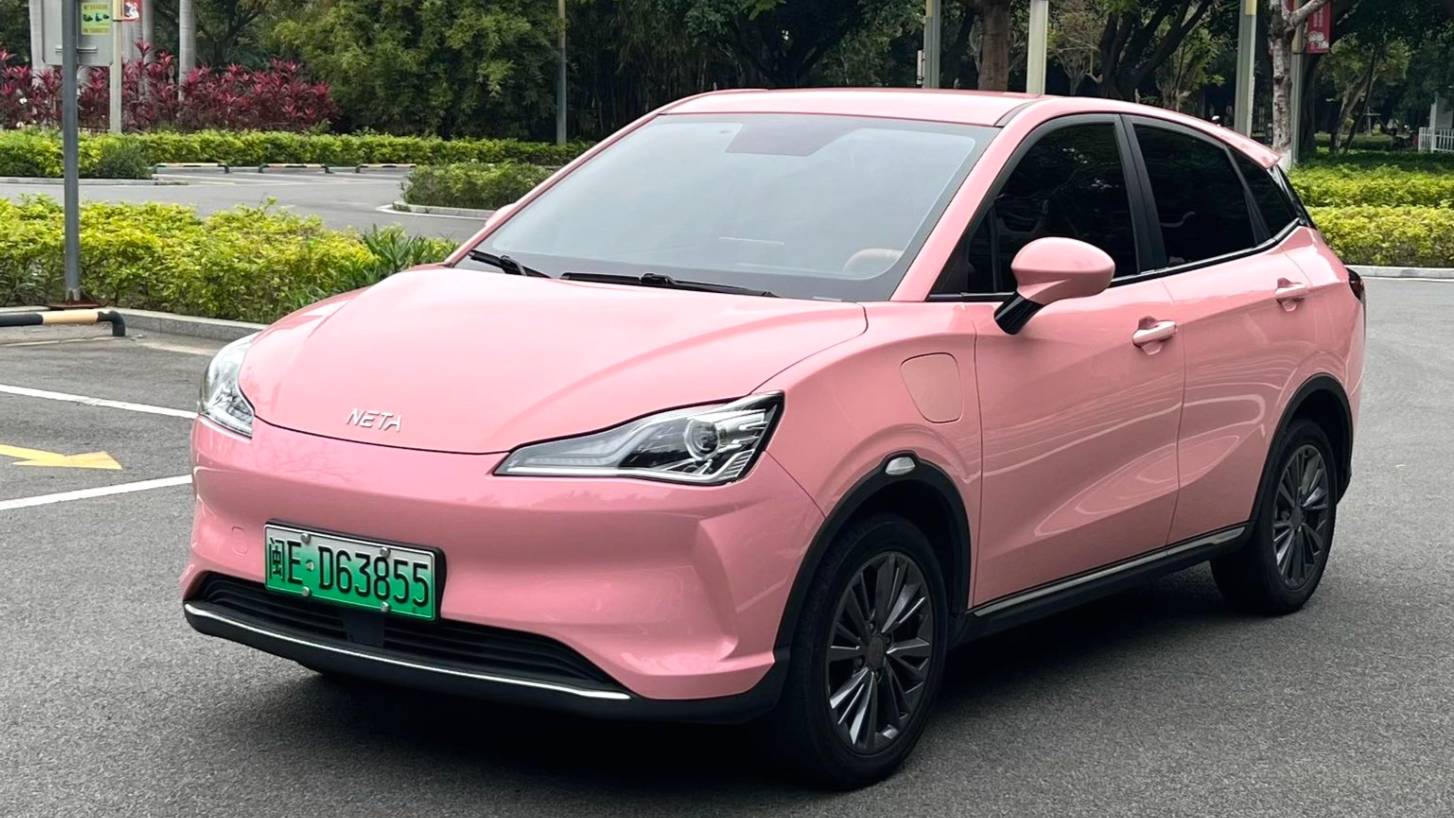 NETA 2022 V Trendy 400 Lite Pink Customized Edition