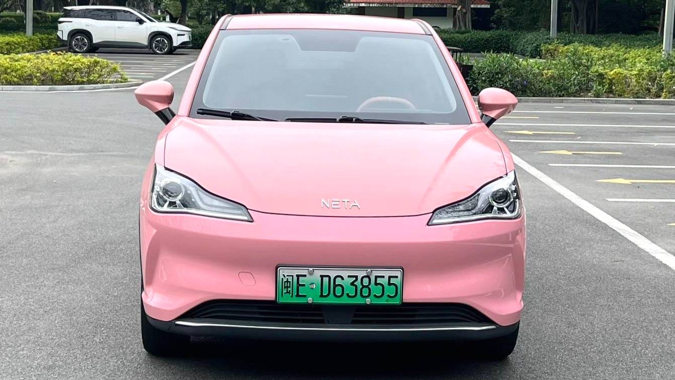 NETA 2022 V Trendy 400 Lite Pink Customized Edition