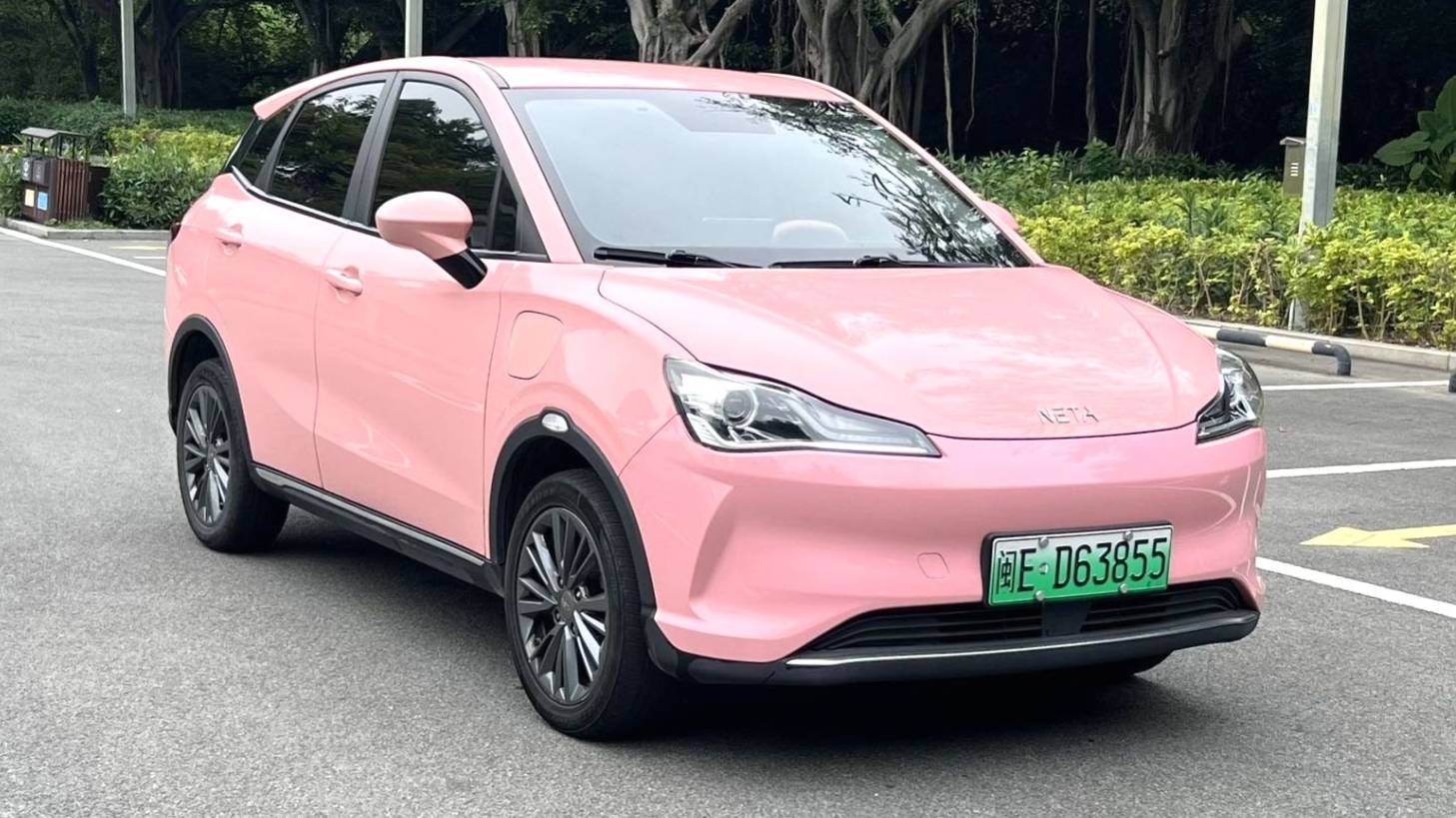 NETA 2022 V Trendy 400 Lite Pink Customized Edition