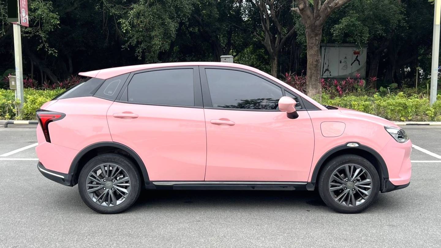 NETA 2022 V Trendy 400 Lite Pink Customized Edition