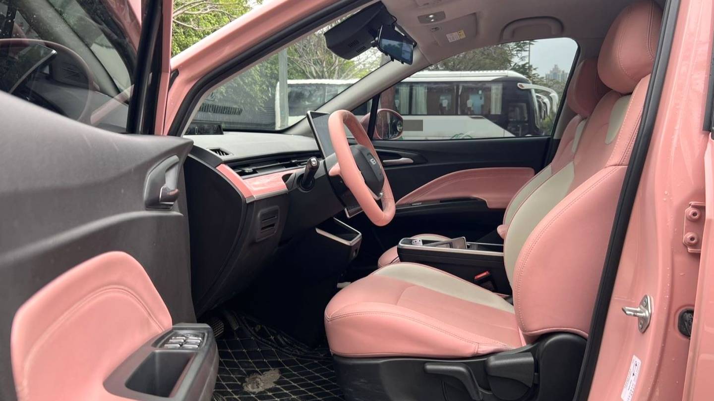 NETA 2022 V Trendy 400 Lite Pink Customized Edition