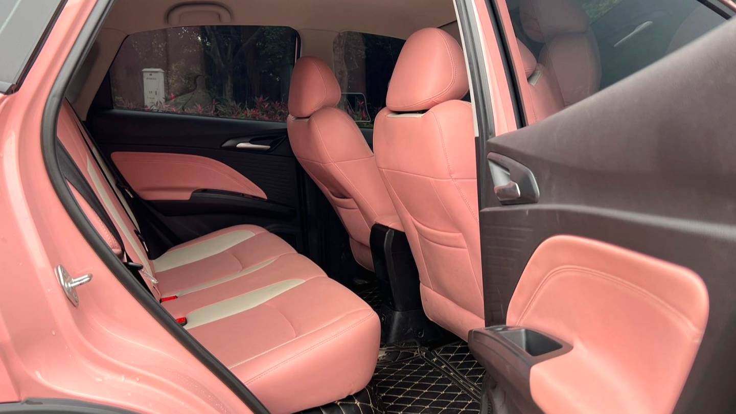 NETA 2022 V Trendy 400 Lite Pink Customized Edition