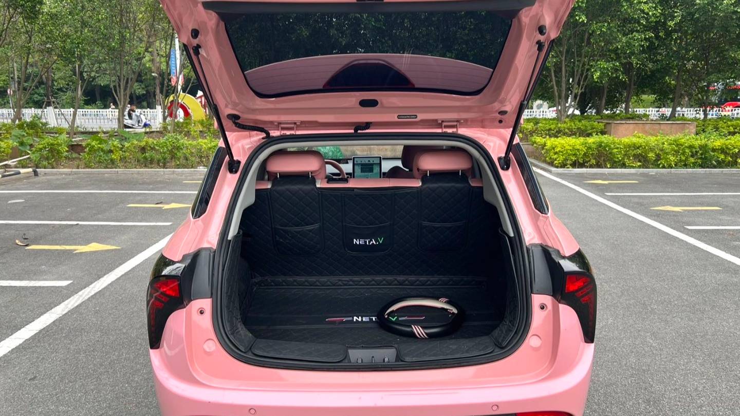 NETA 2022 V Trendy 400 Lite Pink Customized Edition