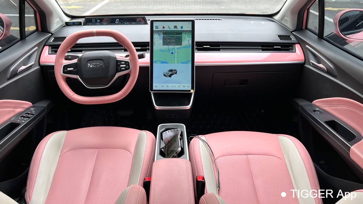 NETA 2022 V Trendy 400 Lite Pink Customized Edition