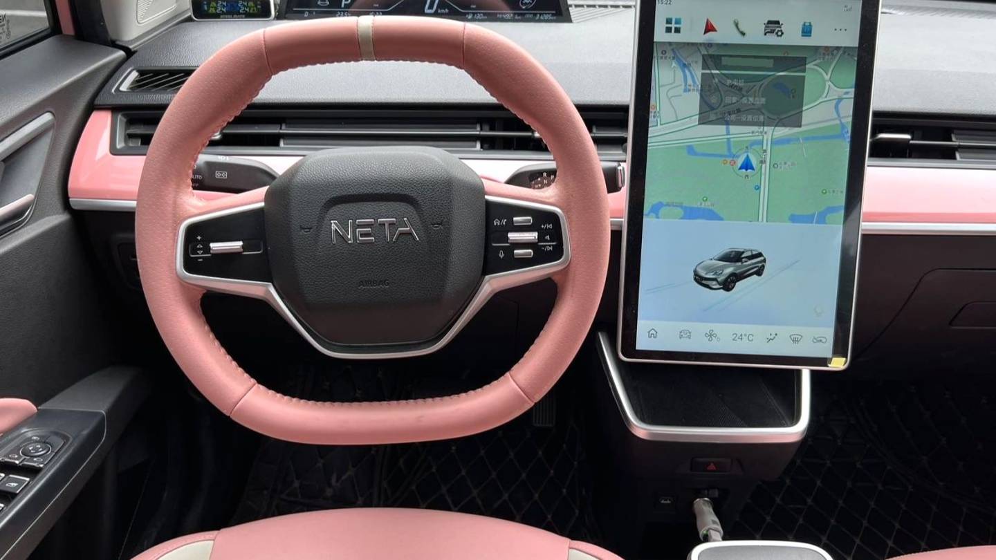 NETA 2022 V Trendy 400 Lite Pink Customized Edition