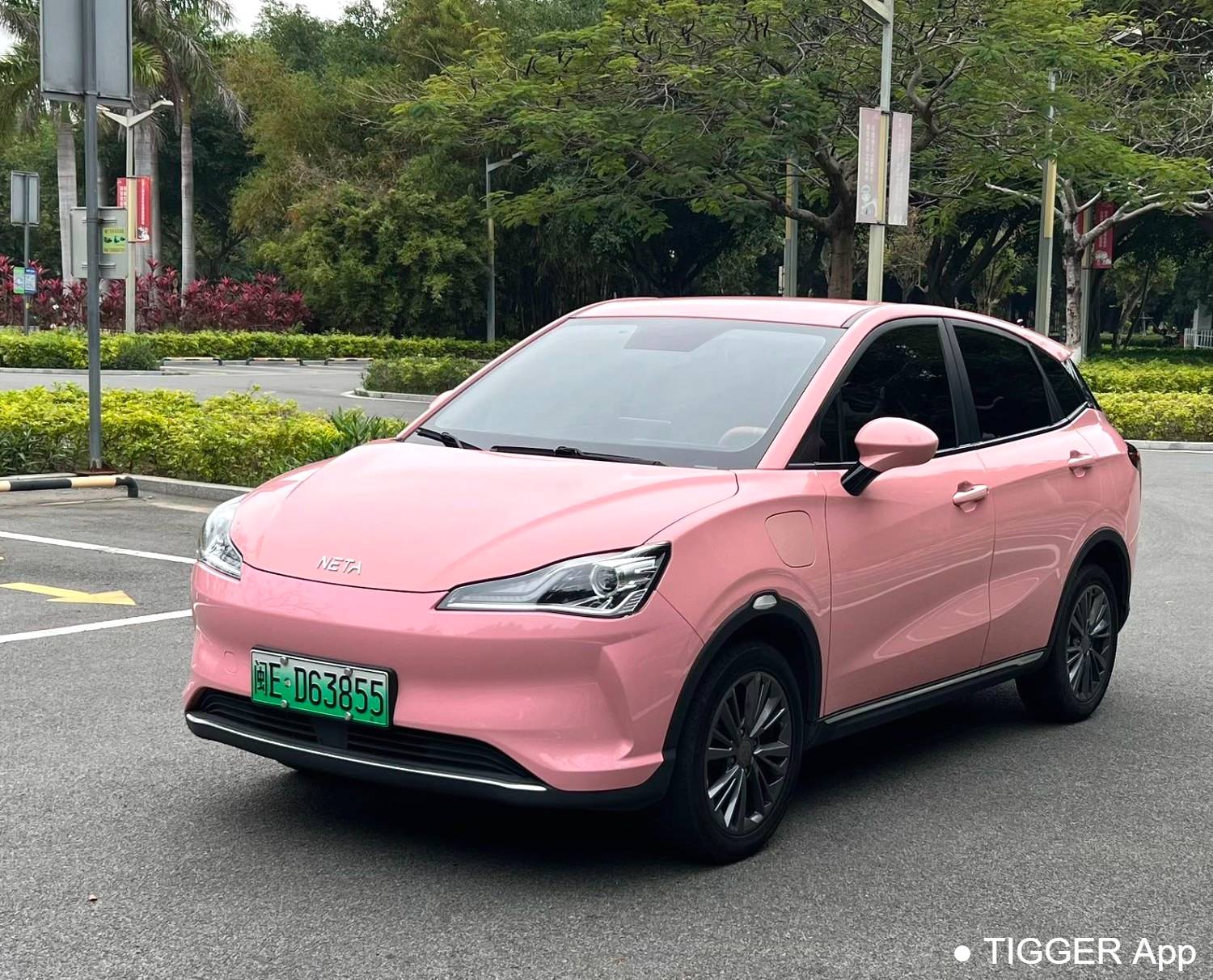 used NETA 2022 V Trendy 400 Lite Pink Customized Edition