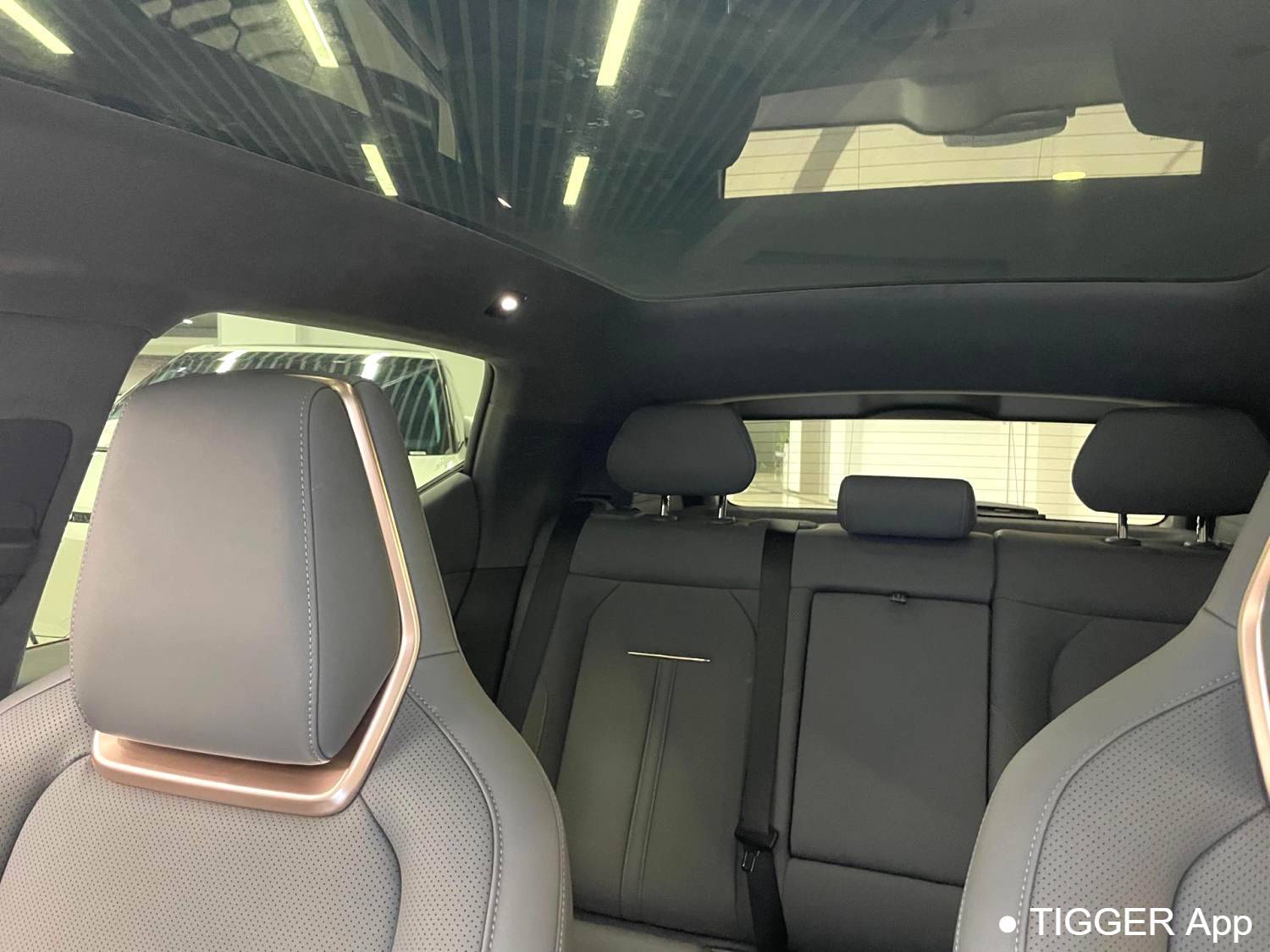 ZEEKR 2025 X Five seater four-wheel drive sport version