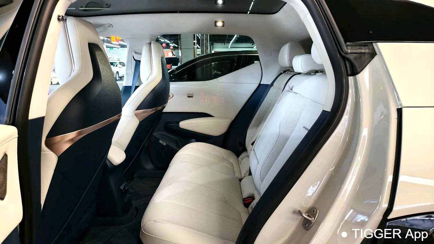 ZEEKR 2024 X Five seater four-wheel drive version