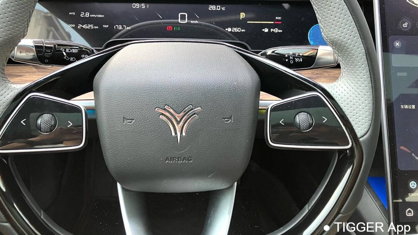 NETA 2024 S Extended Range 1060 Lite Edition