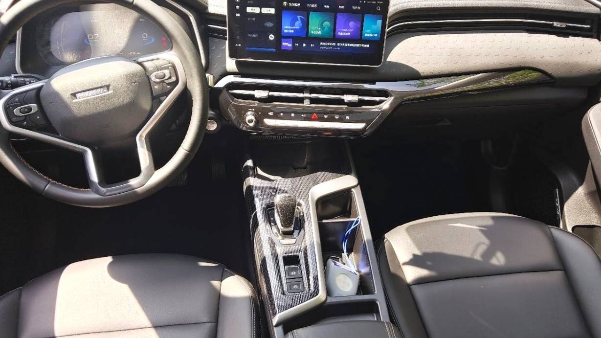 HAVAL 2022 Jolion Pro Jingxiang Edition 1.5T Purple Copper Rabbit