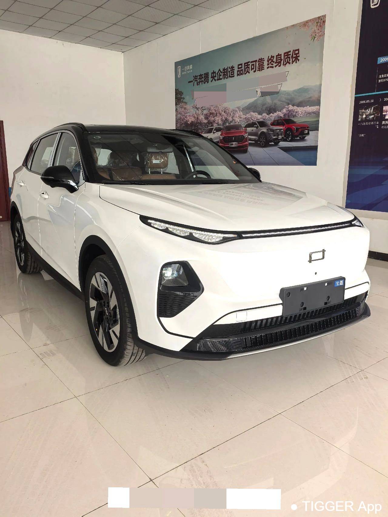 BESTUNE 2025 Yueyi 07 210km Youxiang Edition