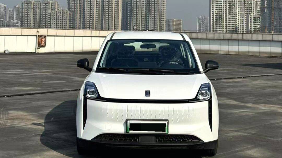 BESTUNE 2023 NAT PRO Enjoyment Travel Extended Battery Swap Edition 401km