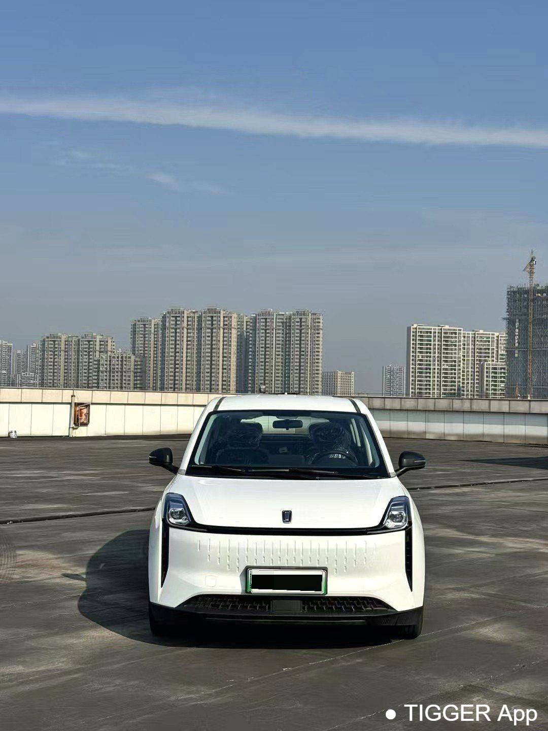 BESTUNE 2023 NAT PRO Enjoyment Travel Extended Battery Swap Edition 401km