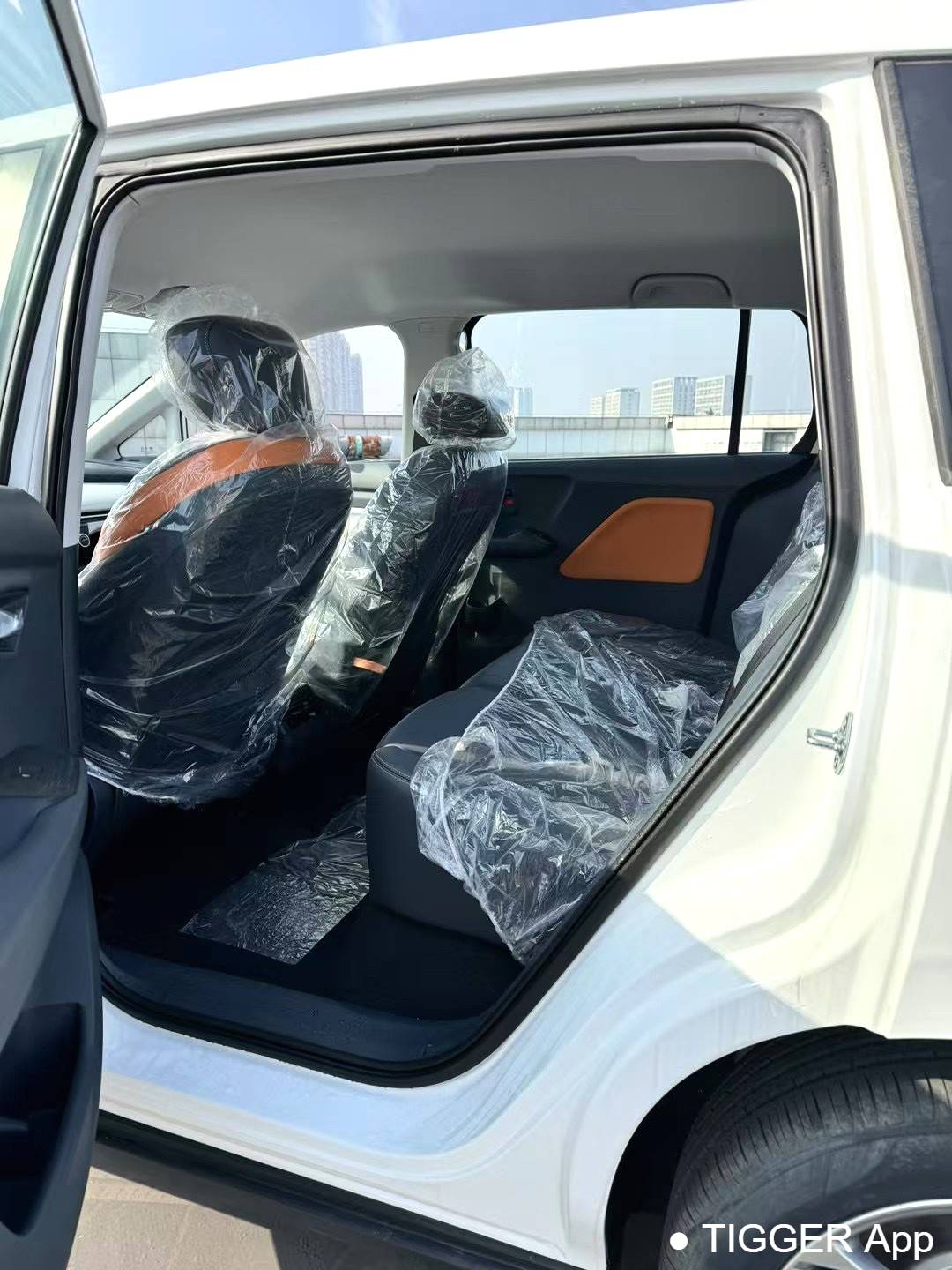 BESTUNE 2023 NAT PRO Enjoyment Travel Extended Battery Swap Edition 401km